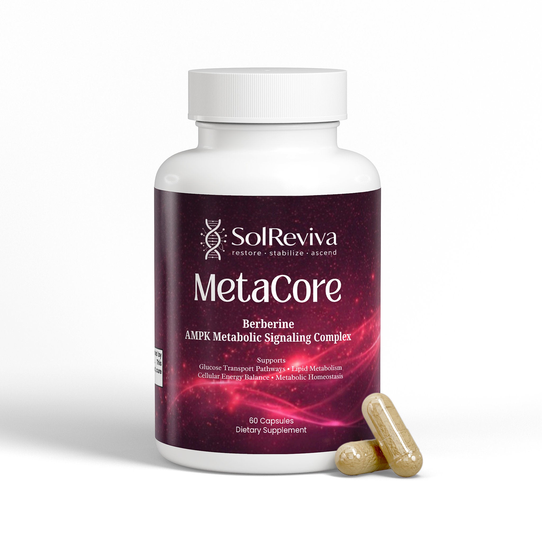 MetaCore
