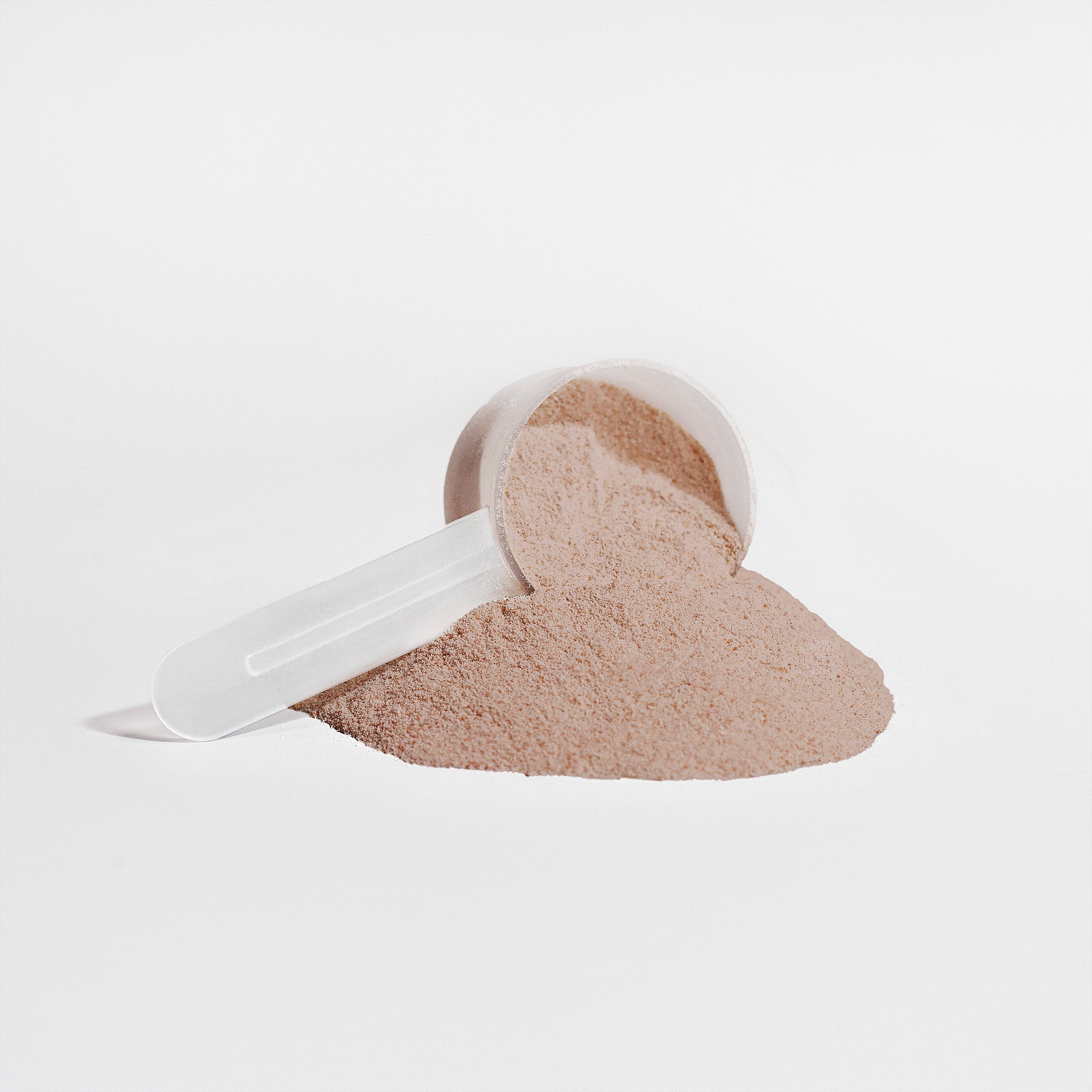 BioBuild Choclate